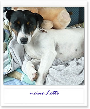 meine Lotte ;-)