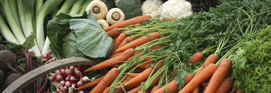 regionales Gemüse-Angebot